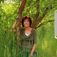 Patti Nesi's profile image