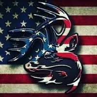 Alan Moss's profile image