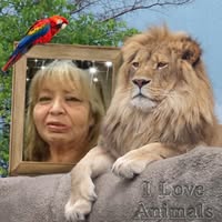 Rachel Manjarrez-Luna's profile image