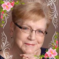 Cindi Blanchard Shepherd Nikolaus's profile image
