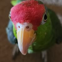 Aaron Prather's profile image