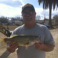 Gerrel Lee Watson's profile image