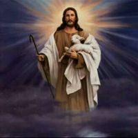Carrillo Carlos Gera's profile image