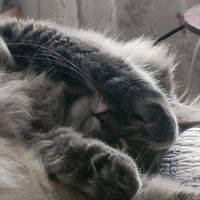 Kendra Chase's profile image