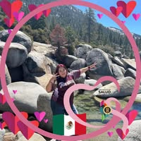 Arreguin M Arreguin's profile image