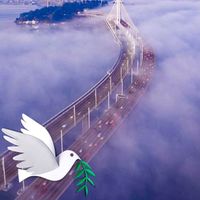 Gloria McKinney's profile image