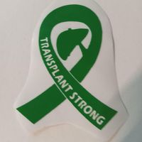Nancy Sangiacomo's profile image