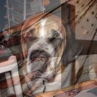 Amber M Watkins's profile image