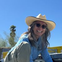 Cin Reilly's profile image
