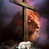 Mary Warner's profile image