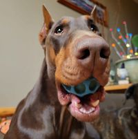 Wendy Karsten's profile image