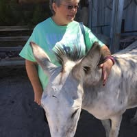 Lilly Winders's profile image