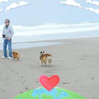 Janet Schmidt's profile image
