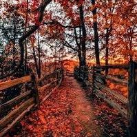 Brenda Perry-Burnworth's profile image