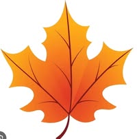 Nichole Williams Hartman's profile image