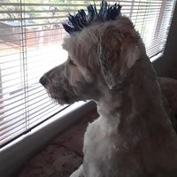 Mary Grace's profile image