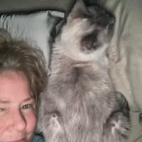 Kara Keith's profile image