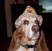 Kathy Bob Nali's profile image