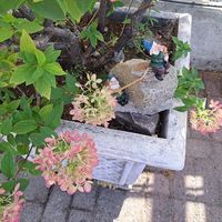 Lisa Buckmaster's profile image