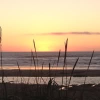 Luis Y Raquel Bazan's profile image
