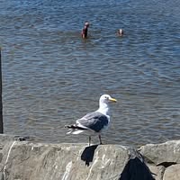 Barbara Freeman's profile image