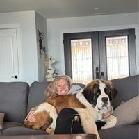 Mary Hansen's profile image