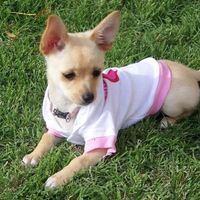 Desiree Burrier's profile image