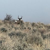 Mike Gollinger's profile image