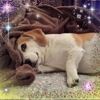 Carleton Seeley Sr.'s profile image