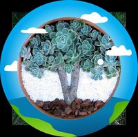 Jose Jr Martinez's profile image