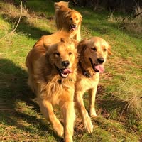 Liz Desmond Wangerin's profile image