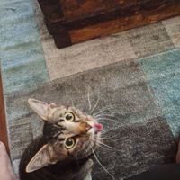 Mary Few's profile image