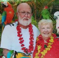 Jody Burtis's profile image