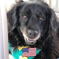 Kendra O'Daniel Thiel's profile image