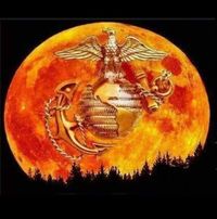 Luis Rodriquez's profile image