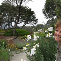 Janet Wheeler's profile image