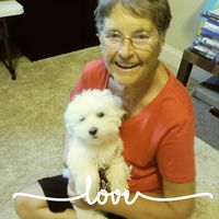 Janice Cox's profile image