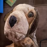 Andrea Harrison's profile image