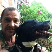 Antonio Montanna's profile image