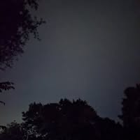 Sharon Cabral's profile image