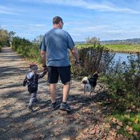 Ron Morrison's profile image