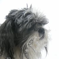 Beth Vincent-Farrace's profile image