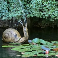 Susan Miller Jackson's profile image