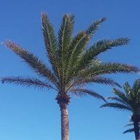 Stephen F Starr's profile image