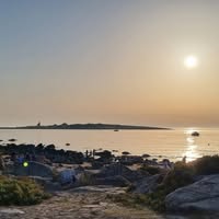 Susanne Ek's profile image