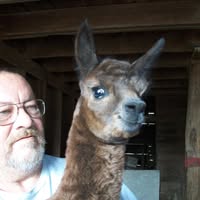 Ken Hillman's profile image
