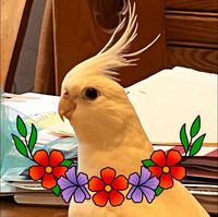 Lawyermom Mhtk's profile image