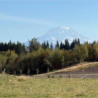 April T Boyd's profile image