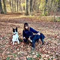 Rachel Collier's profile image