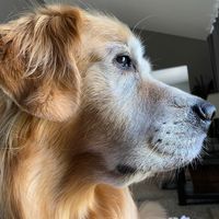 Jill Kasprzyk Doll's profile image